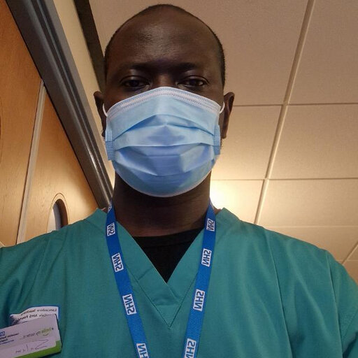 Adebiyi K. S.