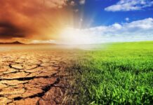 Climate Change Adaptation and Disaster Risk Reduction in Africa: A Comprehensive PRISMA Review Climate Change Adaptation and Disaster Risk Reduction in Africa: A Comprehensive PRISMA Review