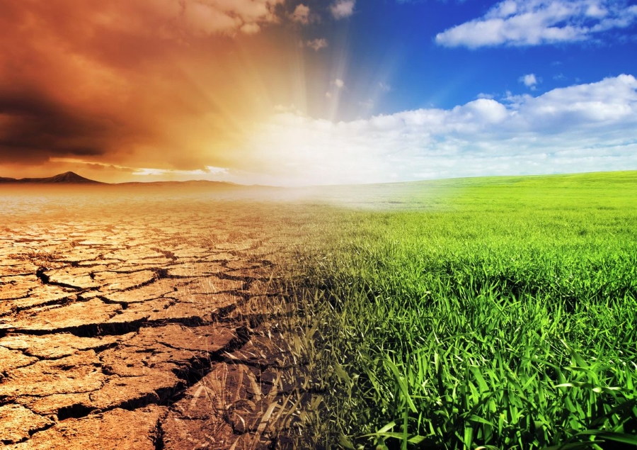 Climate Change Adaptation and Disaster Risk Reduction in Africa: A Comprehensive PRISMA Review
