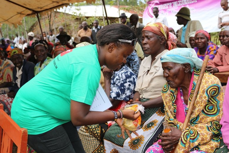 Elderly Care in Africa - Evaluating the Structural Failures of Social Care Systems and Their Implications for Aging Populations
