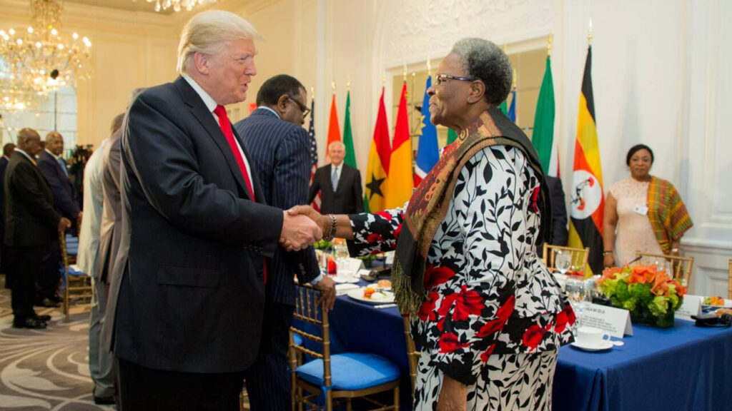 The 2025 U.S. Foreign Aid Cuts Under President Donald Trump: Implications for Healthcare Systems in Africa
