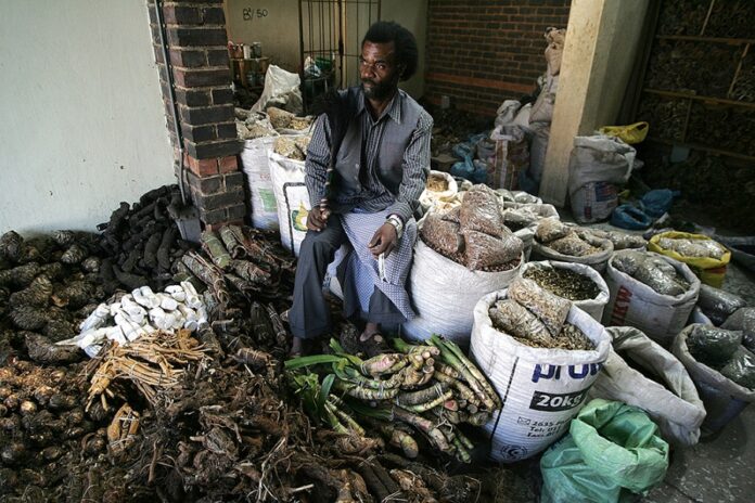 Traditional Medicinal Animals in Ethiopia: Ethnozoological Practices, Conservation, and Indigenous Healthcare Insights
