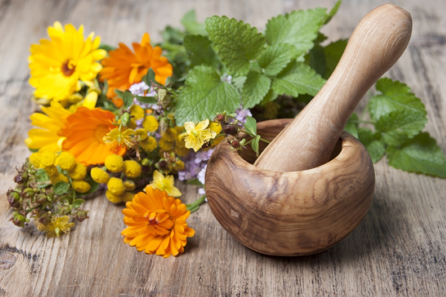 Traditional Medicine Meets Modern Science: WHO’s 2025–2034 Global Integration Strategy