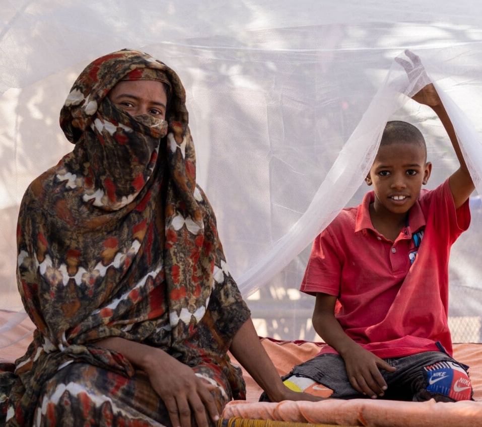 Urban Malaria in Sub-Saharan Africa: Prevalence, Risk Factors, and Control Strategies