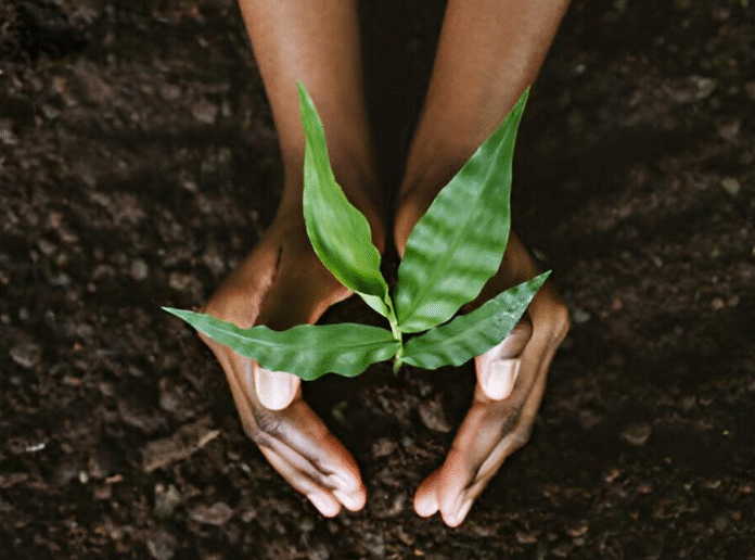How African Youth Can Drive the Green Energy Revolution and Achieve Sustainable Development Goals