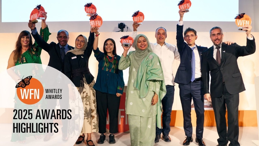 Whitley Awards 2026 for Mid-Career Conservation Leaders in the Global South (£50,000)