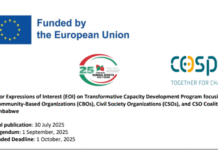 Call for Expressions of Interest: Transformative Capacity Development Program for CBOs, CSOs, and Coalitions in Zimbabwe 2025–2026 Call for Expressions of Interest: Transformative Capacity Development Program for CBOs, CSOs, and Coalitions in Zimbabwe 2025–2026
