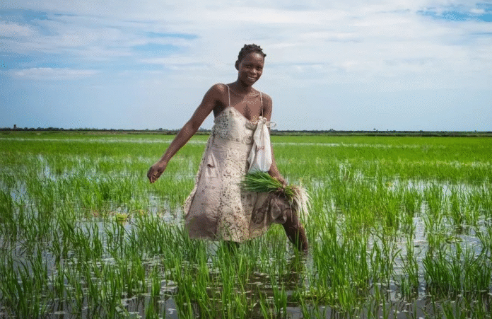 How Africa’s Traditional Farming Practices Can Feed the World and Restore the Planet How Africa’s Traditional Farming Practices Can Feed the World and Restore the Planet