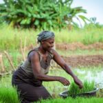 Climate Change Adaptation in African Mountain Regions: How Smallholder Farmers Cope and Innovate