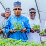 IITA Strengthens Nigeria’s Food Security with Research-Driven Agricultural Innovations