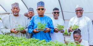 IITA Strengthens Nigeria’s Food Security with Research-Driven Agricultural Innovations