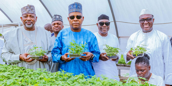 IITA Strengthens Nigeria’s Food Security with Research-Driven Agricultural Innovations IITA Strengthens Nigeria’s Food Security with Research-Driven Agricultural Innovations