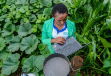 Artificial Intelligence in Agriculture: Transforming Farming and Food Security in Sub-Saharan Africa Artificial Intelligence in Agriculture: Transforming Farming and Food Security in Sub-Saharan Africa