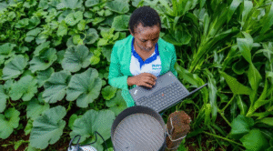 Artificial Intelligence in Agriculture: Transforming Farming and Food Security in Sub-Saharan Africa