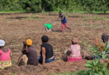 Enhancing Climate Resilience in Ghana: PRISMA Review Reveals Agricultural and Non-Agricultural Adaptation Strategies Driving Sustainability Enhancing Climate Resilience in Ghana: PRISMA Review Reveals Agricultural and Non-Agricultural Adaptation Strategies Driving Sustainability