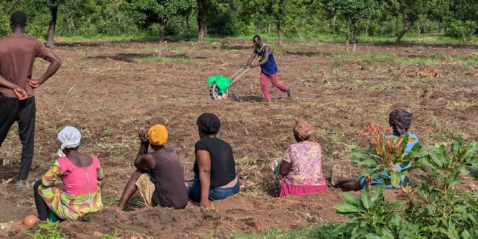 Enhancing Climate Resilience in Ghana: PRISMA Review Reveals Agricultural and Non-Agricultural Adaptation Strategies Driving Sustainability