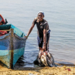 Sustainable African Coastal Fisheries: Research Trends, Governance Challenges, and Priority Action Pathways for Resilient Communities