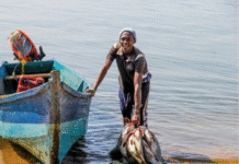 Sustainable African Coastal Fisheries: Research Trends, Governance Challenges, and Priority Action Pathways for Resilient Communities Sustainable African Coastal Fisheries: Research Trends, Governance Challenges, and Priority Action Pathways for Resilient Communities