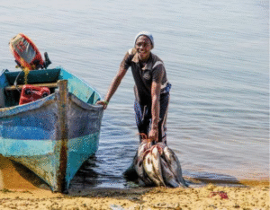 Sustainable African Coastal Fisheries: Research Trends, Governance Challenges, and Priority Action Pathways for Resilient Communities
