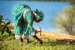 Integrating Environmental Sustainability into African Social Policies: Strategies for Resilience, Equity, and SDG Alignment