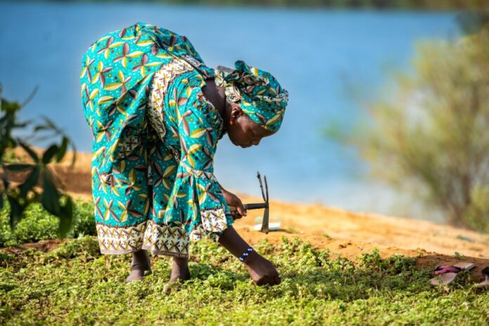 Integrating Environmental Sustainability into African Social Policies: Strategies for Resilience, Equity, and SDG Alignment Integrating Environmental Sustainability into African Social Policies: Strategies for Resilience, Equity, and SDG Alignment